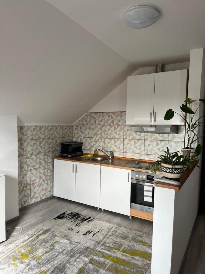 Apartman Salus トゥズラ エクステリア 写真